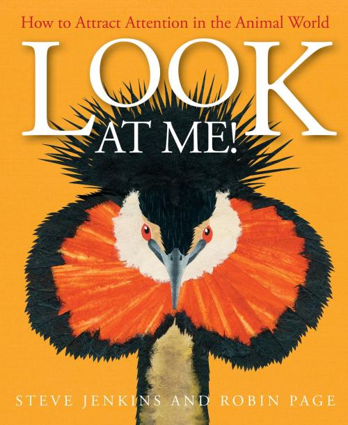 Cover of the book Look at Me! by Robin Page, Steve Jenkins, HMH Books