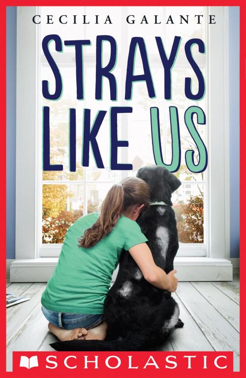 Cover of the book Strays Like Us by Cecilia Galante, Scholastic Inc.