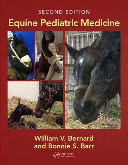 Cover of the book Equine Pediatric Medicine by , CRC Press