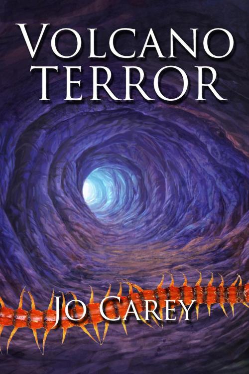 Cover of the book Volcano Terror by Jo Carey, Jo Carey