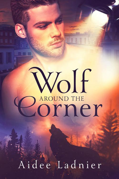 Cover of the book Wolf Around The Corner by Aidee Ladnier, Aidee Ladnier