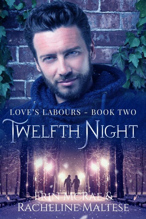 Cover of the book Twelfth Night by Erin McRae, Racheline Maltese, Avian30