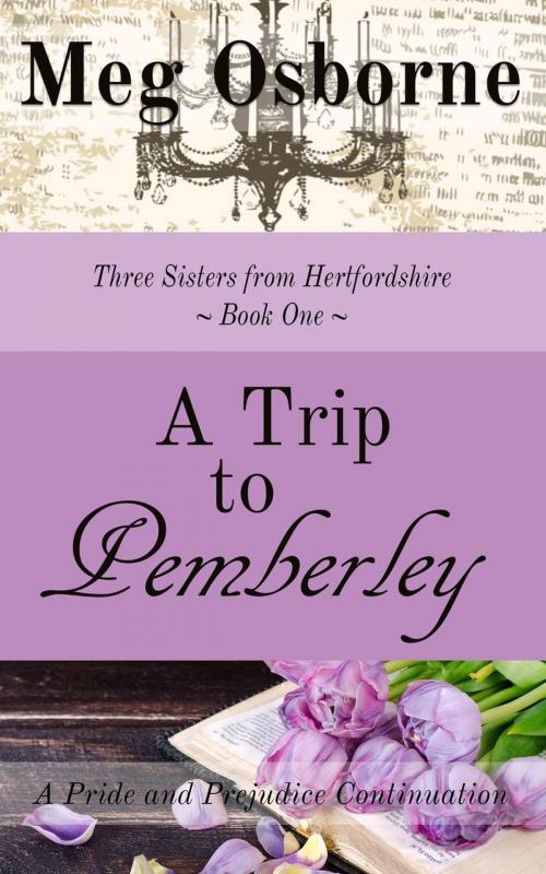 Cover of the book A Trip to Pemberley by Meg Osborne, Meg Osborne