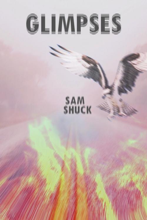 Cover of the book Glimpses by Sam Shuck, Samerifarms