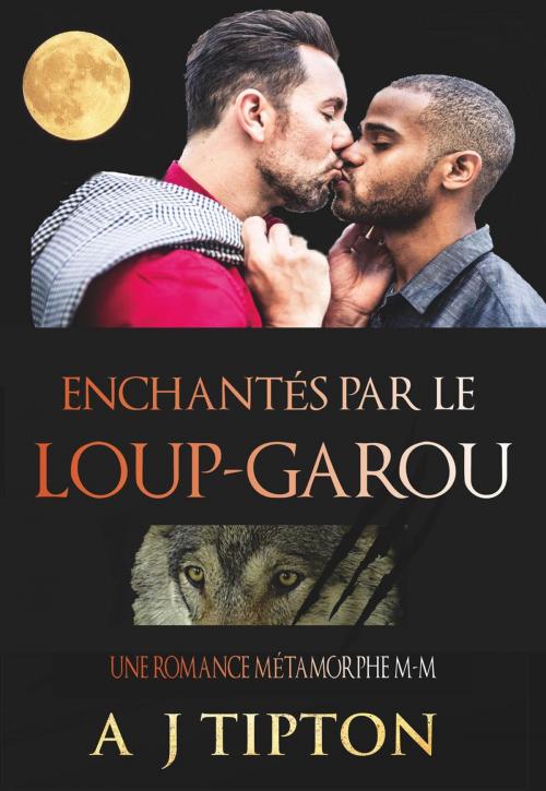 Cover of the book Enchantés par le Loup-Garou: Une Romance Métamorphe M-M by AJ Tipton, AJ Tipton Enterprises, LLC