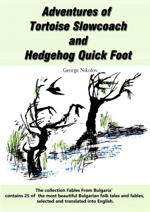 Cover of the book Adventures of Tortoise Slowcoach and Hedgehog Quick Foot by George Nikolov, Goce Nikolovski