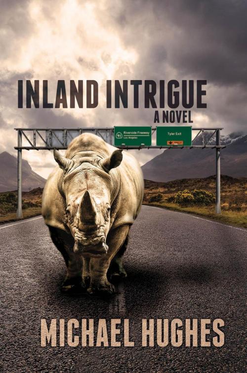 Cover of the book Inland Intrigue by Michael Hughes, Black Rose Writing