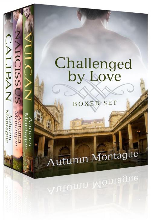 Cover of the book Challenged by Love: E-Boxed Set by Autumn Montague, Autumn Montague