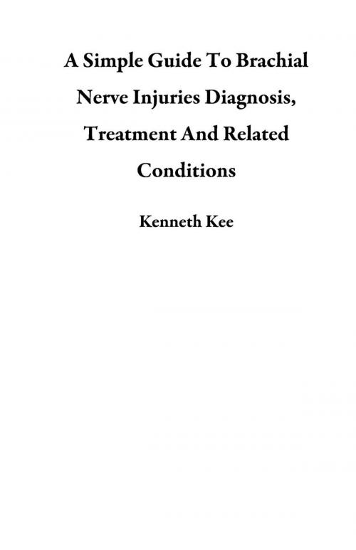 Cover of the book A Simple Guide To Brachial Nerve Injuries Diagnosis, Treatment And Related Conditions by Kenneth Kee, Kenneth Kee