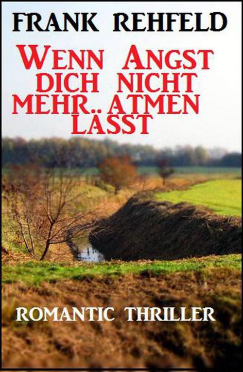 Cover of the book Wenn Angst dich nicht mehr atmen lässt by Frank Rehfeld, Cassiopeiapress Extra Edition