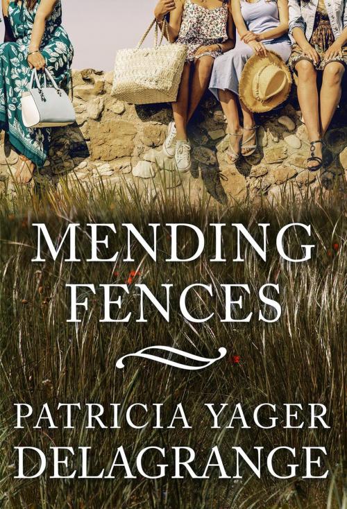 Cover of the book Mending Fences by Patricia Yager Delagrange, Ravenswood Publishing (Sly Fox)