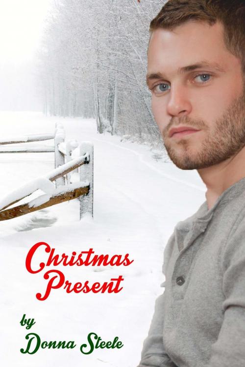 Cover of the book Christmas Present by Donna Steele, Donna Steele