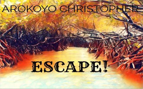 Cover of the book Escape! by Arokoyo Christopher, Chridamel