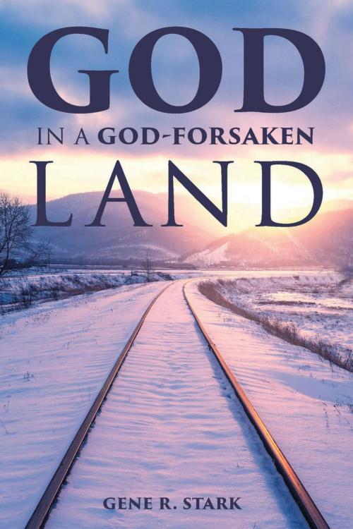 Cover of the book God in a God-Forsaken Land by Gene R. Stark, CrossLink Publishing