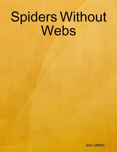 Cover of the book Spiders Without Webs by Joe Lattera, Lulu.com