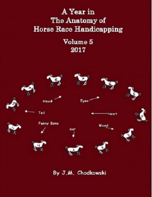 Cover of the book A Year In the Anatomy of Horse Race Handicapping: Volume 5 2017 by J.M. Chodkowski, Lulu.com