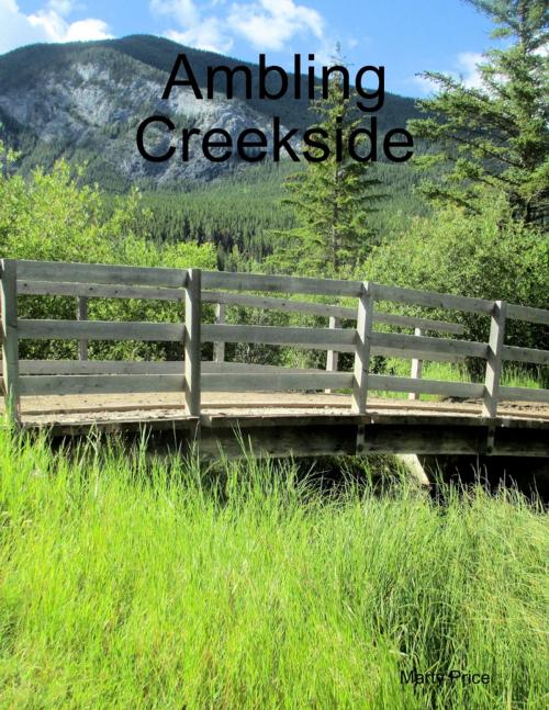 Cover of the book Ambling Creekside by Marty Price, Lulu.com