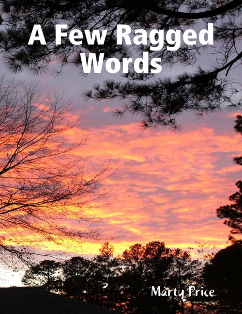 Cover of the book A Few Ragged Words by Marty Price, Lulu.com