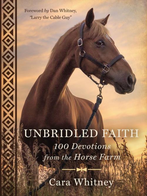 Cover of the book Unbridled Faith by Cara Whitney, Thomas Nelson