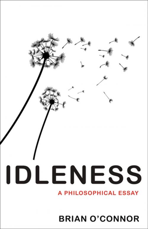 Cover of the book Idleness by Brian O'Connor, Princeton University Press