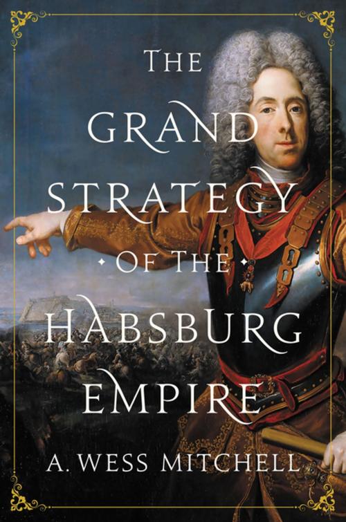 Cover of the book The Grand Strategy of the Habsburg Empire by A. Wess Mitchell, Princeton University Press