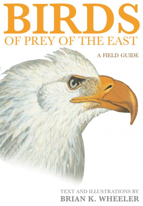 Cover of the book Birds of Prey of the East by Brian K. Wheeler, Princeton University Press