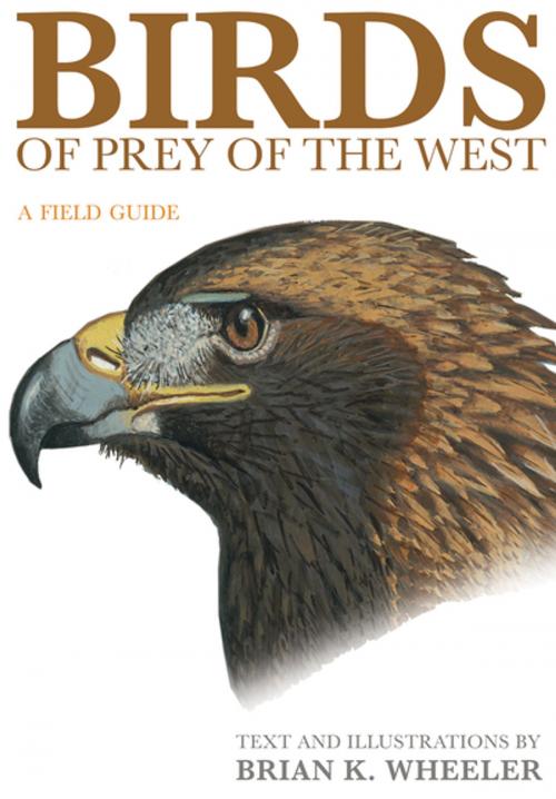 Cover of the book Birds of Prey of the West by Brian K. Wheeler, Princeton University Press