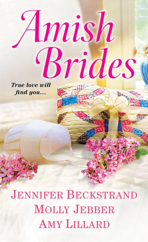 Cover of the book Amish Brides by Jennifer Beckstrand, Molly Jebber, Amy Lillard, Zebra Books