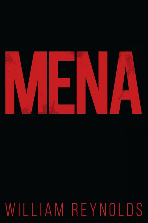 Cover of the book Mena by William Reynolds, Dog Ear Publishing
