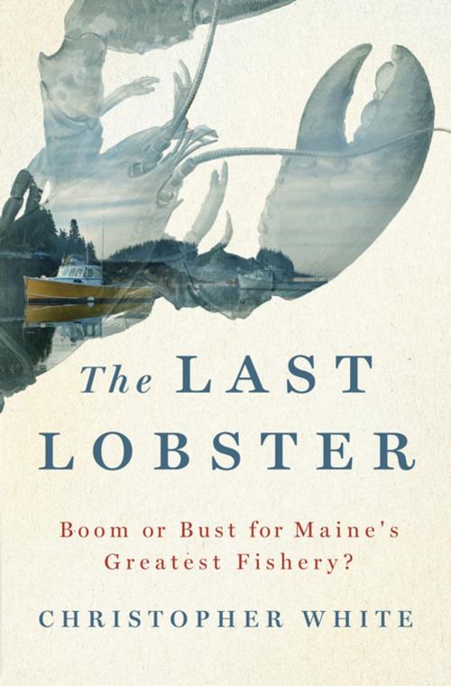 Cover of the book The Last Lobster by Christopher White, St. Martin's Press