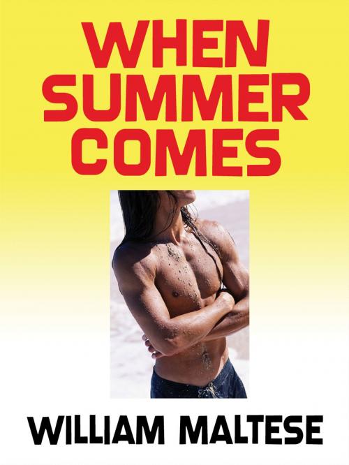 Cover of the book When Summer Comes by William Maltese, Wildside Press LLC