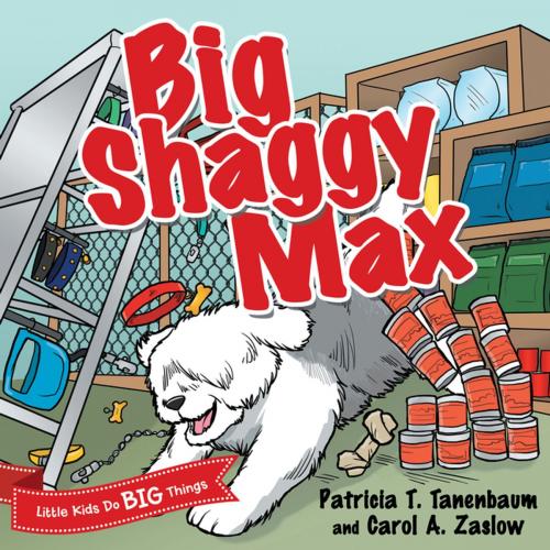 Cover of the book Big Shaggy Max by Patricia T. Tanenbaum, Carol A. Zaslow, Archway Publishing