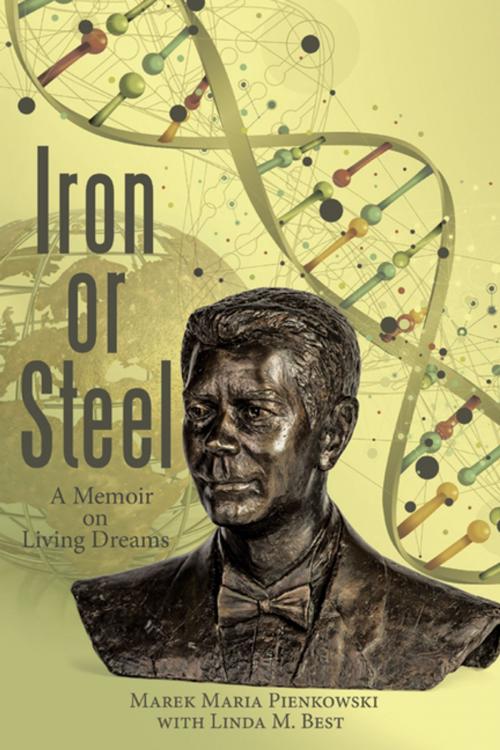 Cover of the book Iron or Steel by Marek Maria Pienkowski, Archway Publishing