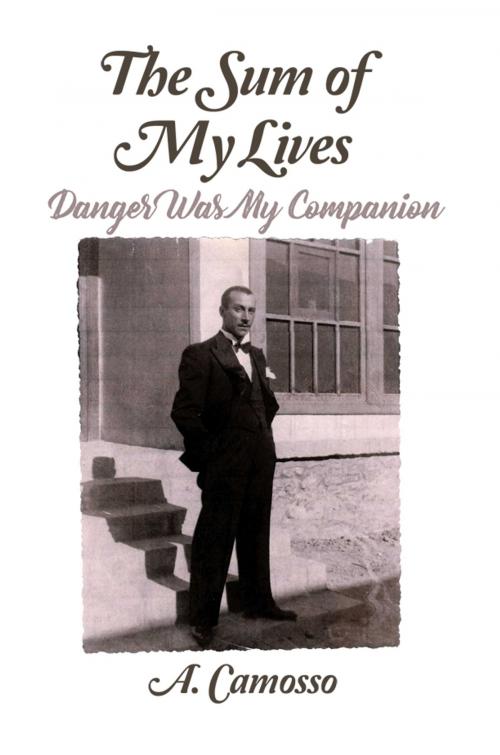 Cover of the book The Sum of My Lives by A. Camosso, Dorrance Publishing