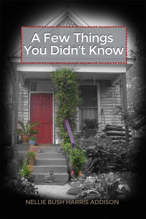 Cover of the book A Few Things You Didn’t Know by Nellie Bush Harris Addison, Dorrance Publishing
