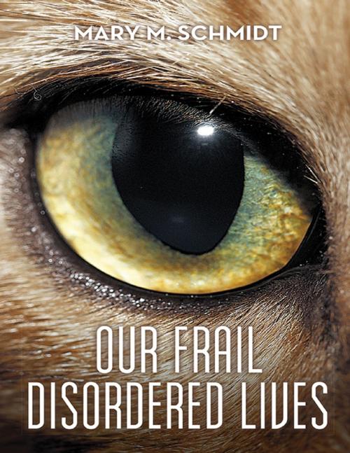 Cover of the book Our Frail Disordered Lives by Mary M. Schmidt, Lulu Publishing Services