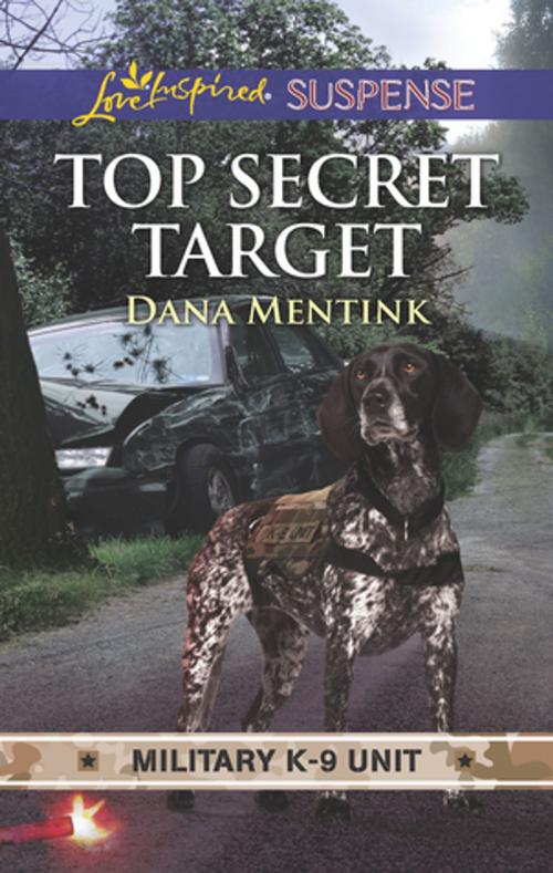 Cover of the book Top Secret Target by Dana Mentink, Harlequin