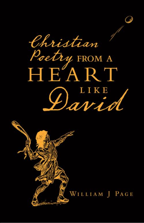 Cover of the book Christian Poetry from a Heart Like David by William J Page, LifeRich Publishing