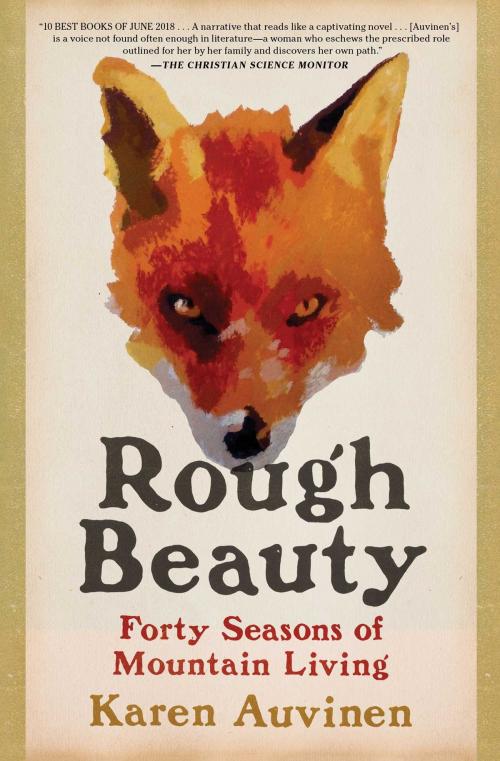 Cover of the book Rough Beauty by Karen Auvinen, Scribner