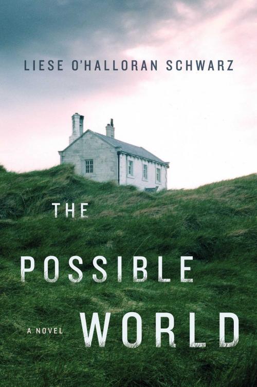 Cover of the book The Possible World by Liese O'Halloran Schwarz, Scribner