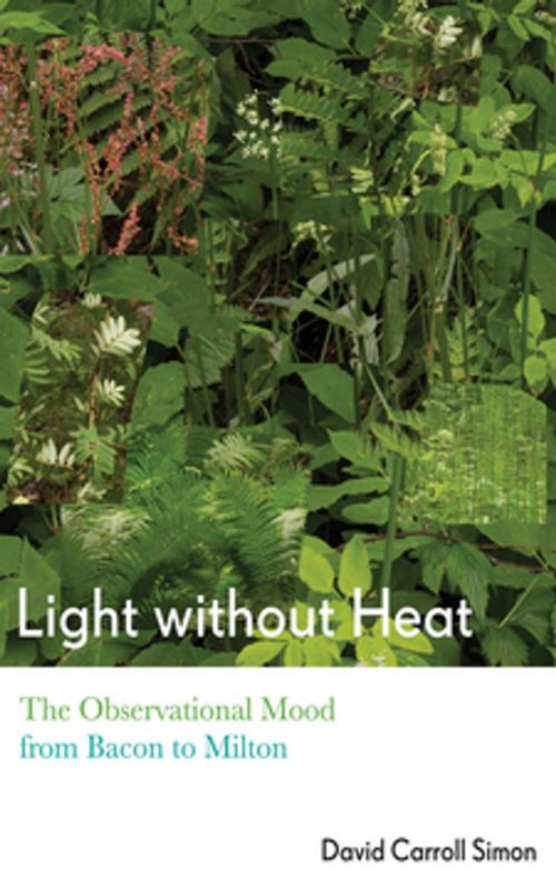 Cover of the book Light without Heat by David Carroll Simon, Cornell University Press