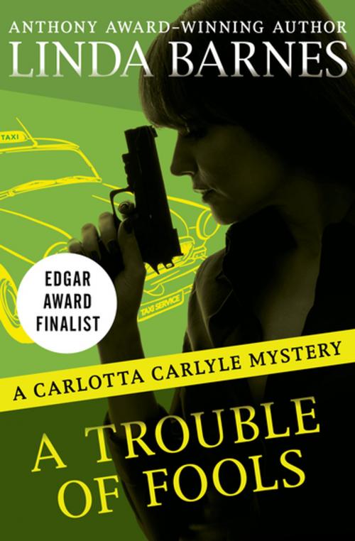 Cover of the book A Trouble of Fools by Linda Barnes, Open Road Media