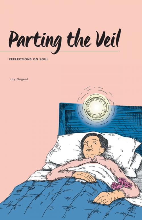 Cover of the book Parting the Veil by Joy Nugent, Balboa Press AU