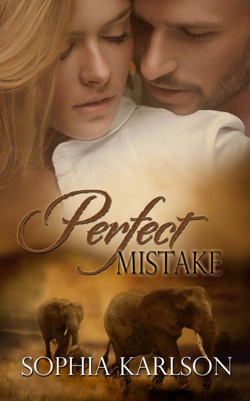 Cover of the book Perfect Mistake by Sophia Karlson, The Wild Rose Press, Inc.