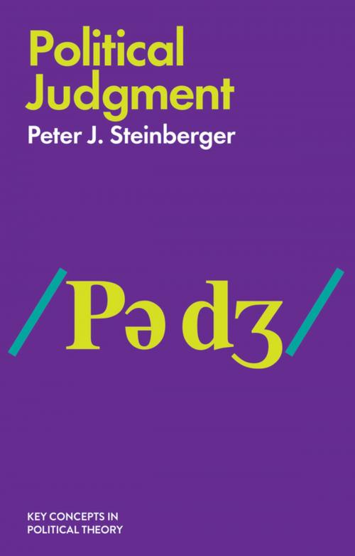 Cover of the book Political Judgment by Peter J. Steinberger, Wiley