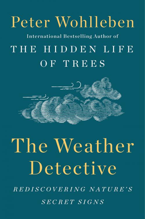 Cover of the book The Weather Detective by Peter Wohlleben, Penguin Publishing Group