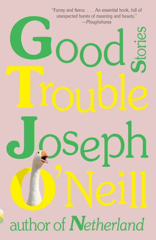 Cover of the book Good Trouble by Joseph O'Neill, Knopf Doubleday Publishing Group