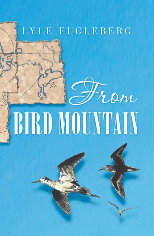 Cover of the book From Bird Mountain by Lyle Fugleberg, iUniverse