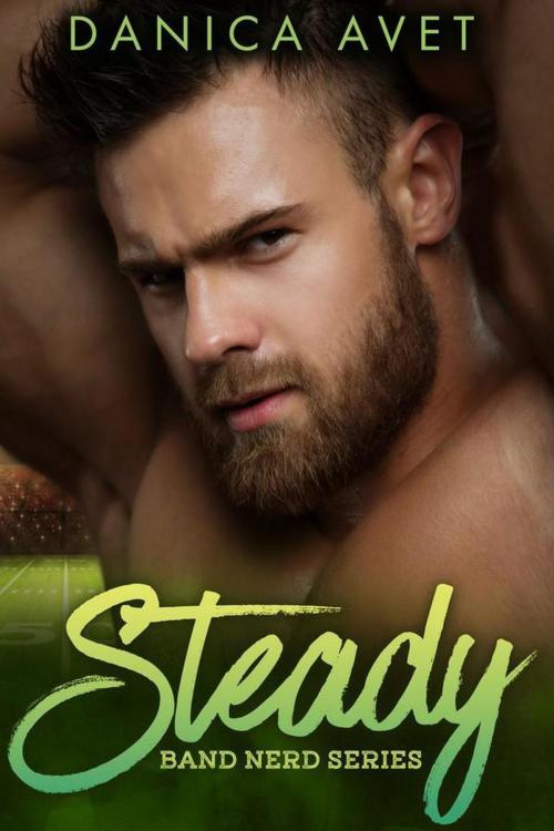 Cover of the book Steady by Danica Avet, Danica Avet