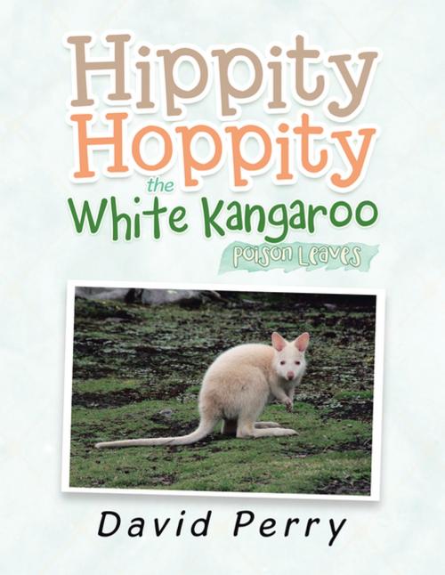 Cover of the book Hippity Hoppity the White Kangaroo by David Perry, Xlibris AU